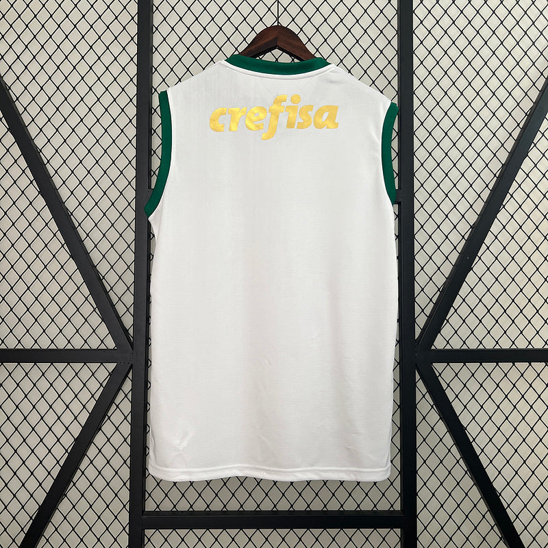 Camisa 24∕25 Vest Palmeiras away