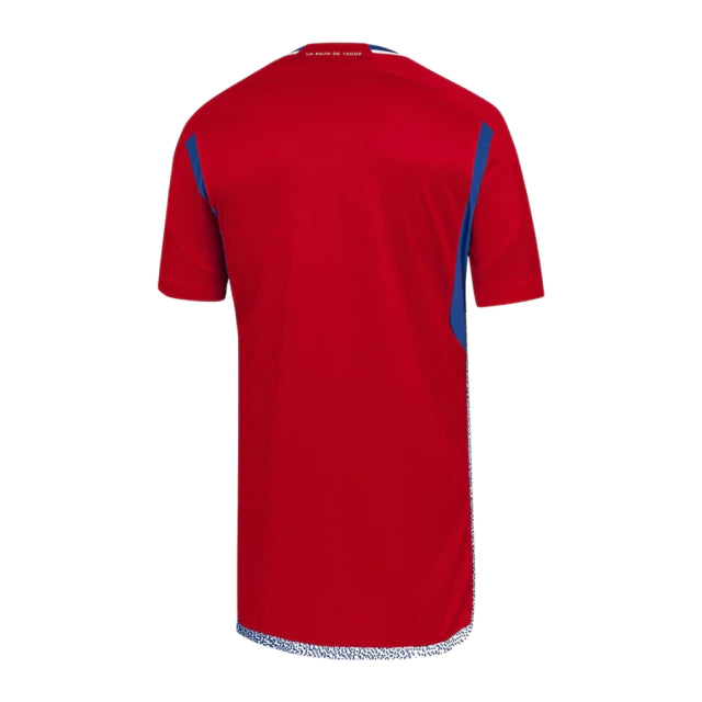 Ajax FC "Bob Marley" Shirt (Fan Version) | SPECIAL EDITION